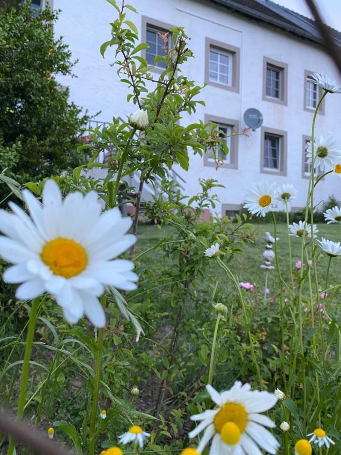 FeilsdorfAn Der Walnuss公寓 外观 照片
